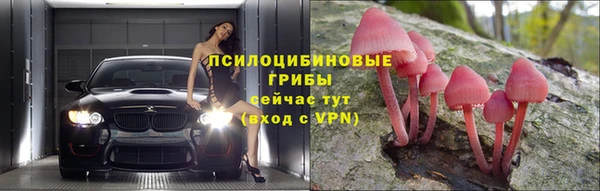 spice Алексеевка