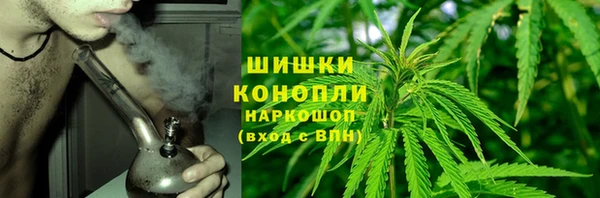 ПСИЛОЦИБИНОВЫЕ ГРИБЫ Алексин