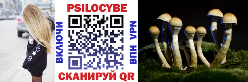 Галлюциногенные грибы Magic Shrooms Устюжна